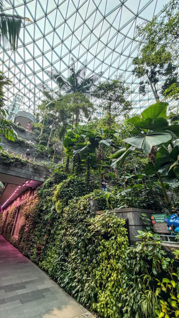 Singapore Changi Airport — Singapore