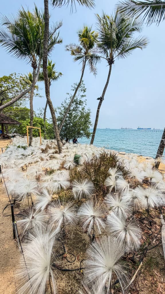 Southernmost Point Continental Asia Sentosa — Singapore